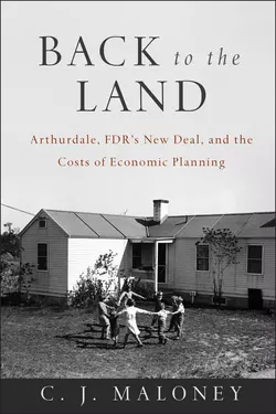 Back to the Land. Arthurdale, FDR′s New Deal, and the Costs of Economic Planning, C. Maloney