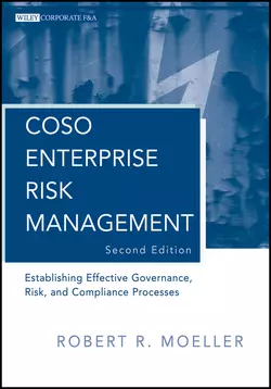 COSO Enterprise Risk Management. Establishing Effective Governance, Risk, and Compliance (GRC) Processes, Robert R. Moeller