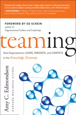 Teaming. How Organizations Learn, Innovate, and Compete in the Knowledge Economy, Эми Эдмондсон