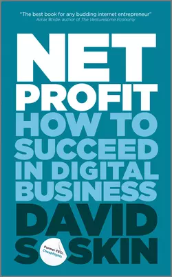 Net Profit. How to Succeed in Digital Business, David Soskin