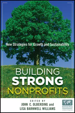 Building Strong Nonprofits. New Strategies for Growth and Sustainability, John Olberding