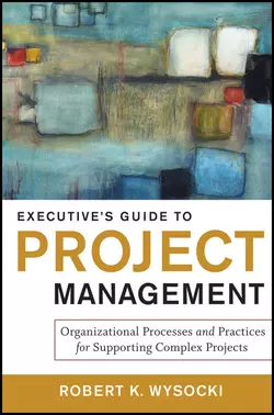 Executive′s Guide to Project Management. Organizational Processes and Practices for Supporting Complex Projects Robert Wysocki