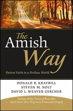 The Amish Way. Patient Faith in a Perilous World, Donald Kraybill