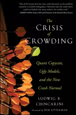 The Crisis of Crowding. Quant Copycats, Ugly Models, and the New Crash Normal, Ludwig Chincarini