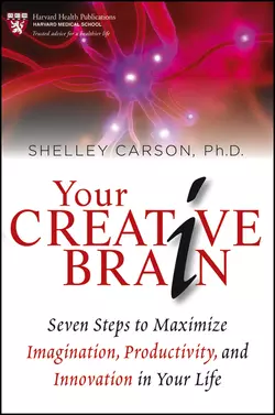 Your Creative Brain. Seven Steps to Maximize Imagination, Productivity, and Innovation in Your Life, Shelley Carson