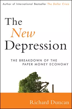 The New Depression. The Breakdown of the Paper Money Economy, Richard Duncan