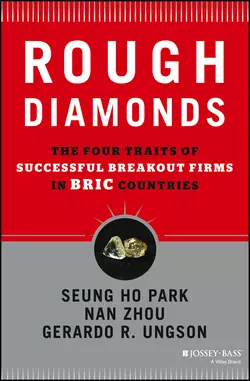 Rough Diamonds. The Four Traits of Successful Breakout Firms in BRIC Countries, Nan Zhou