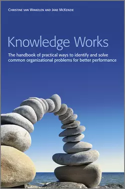 Knowledge Works. The Handbook of Practical Ways to Identify and Solve Common Organizational Problems for Better Performance, Jane McKenzie