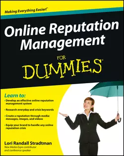 Online Reputation Management For Dummies, Lori Stradtman