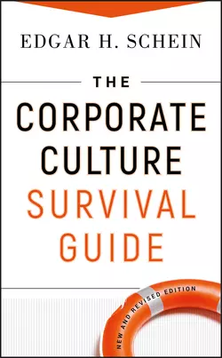 The Corporate Culture Survival Guide, Эдгар Шейн