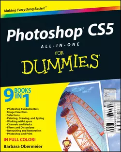 Photoshop CS5 All-in-One For Dummies Barbara Obermeier