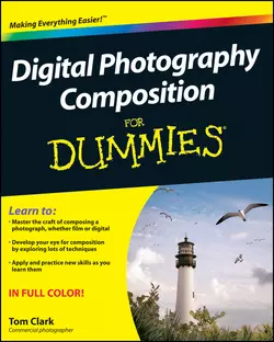 Digital Photography Composition For Dummies Thomas Clark