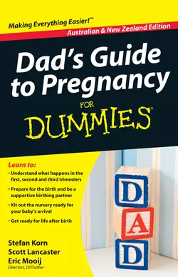 Dad′s Guide to Pregnancy For Dummies, Stefan Korn