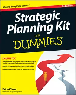 Strategic Planning Kit For Dummies, Erica Olsen