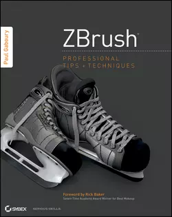 ZBrush Professional Tips and Techniques, Paul Gaboury