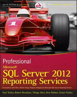 Professional Microsoft SQL Server 2012 Reporting Services, Paul Turley