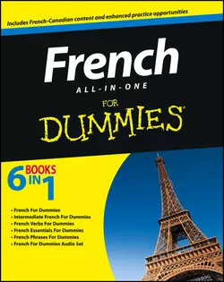 French All-in-One For Dummies, Consumer Dummies