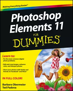 Photoshop Elements 11 For Dummies Barbara Obermeier и Ted Padova