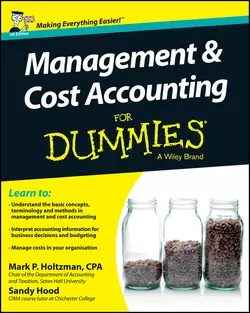 Management and Cost Accounting For Dummies - UK, Sandy Hood