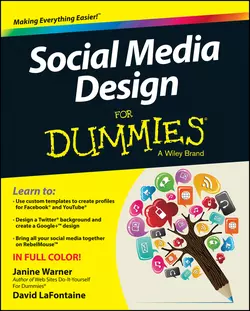 Social Media Design For Dummies, Janine Warner