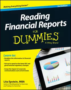 Reading Financial Reports For Dummies Lita Epstein