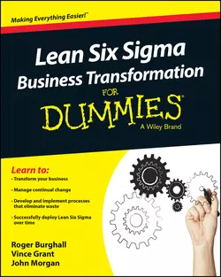 Lean Six Sigma Business Transformation For Dummies, John Morgan