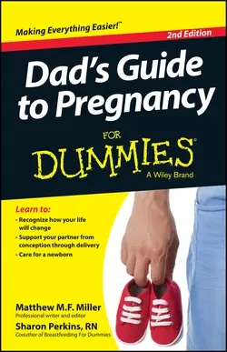 Dad′s Guide To Pregnancy For Dummies, Sharon Perkins