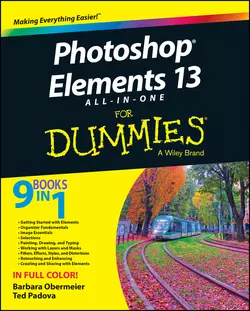 Photoshop Elements 13 All-in-One For Dummies, Barbara Obermeier