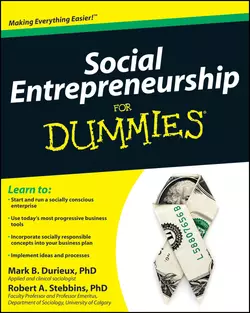 Social Entrepreneurship For Dummies, Mark Durieux