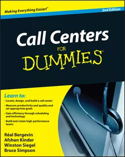 Call Centers For Dummies, Real Bergevin