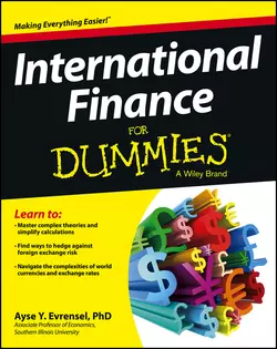 International Finance For Dummies, Ayse Evrensel