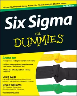 Six Sigma For Dummies, Стивен Кови