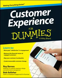 Customer Experience For Dummies, Bob Kelleher