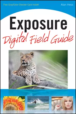 Exposure Digital Field Guide Alan Hess