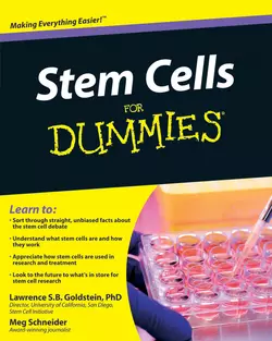 Stem Cells For Dummies, Meg Schneider