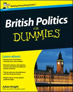 British Politics For Dummies, Julian Knight