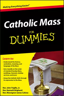 Catholic Mass For Dummies, Rev. Brighenti