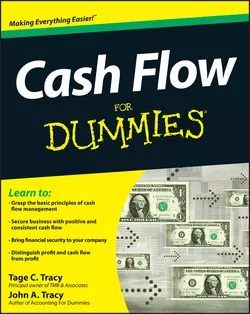 Cash Flow For Dummies, Tage Tracy