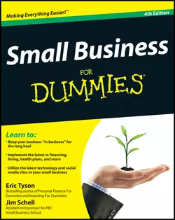 Small Business For Dummies, Eric Tyson