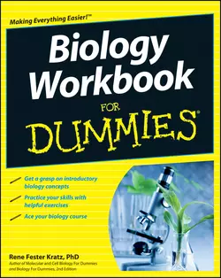 Biology Workbook For Dummies, Rene Fester Kratz