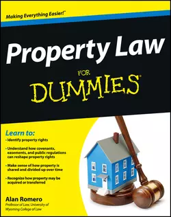 Property Law For Dummies Alan Romero