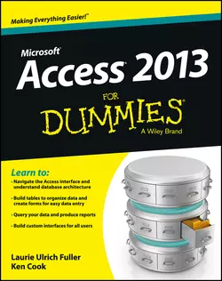 Access 2013 For Dummies, Ken Cook