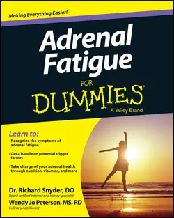 Adrenal Fatigue For Dummies, Richard Snyder