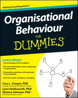 Organisational Behaviour For Dummies, Sheena Johnson