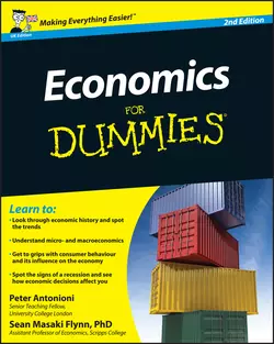 Economics For Dummies, Peter Antonioni