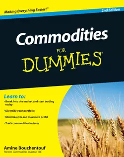 Commodities For Dummies, Amine Bouchentouf