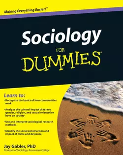 Sociology For Dummies, Jay Gabler