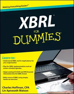 XBRL For Dummies, Charles Hoffman