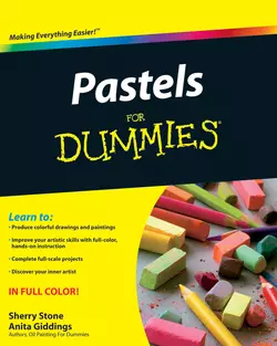 Pastels For Dummies, Anita Giddings