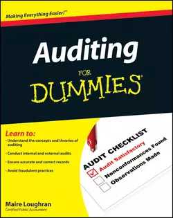 Auditing For Dummies, Maire Loughran